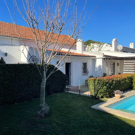 Vinhas * Aldeia Gavinha