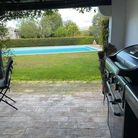 Vinhas Aldeia Gavinha