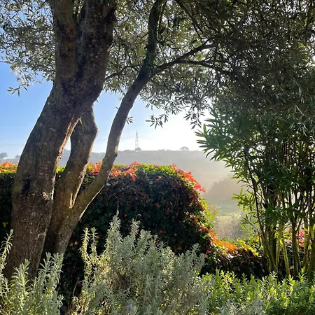 Villa Vinhas *