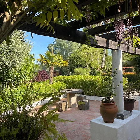 Vinhas Aldeia Gavinha