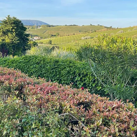 Vinhas Villa *