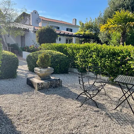 Vinhas * Aldeia Gavinha