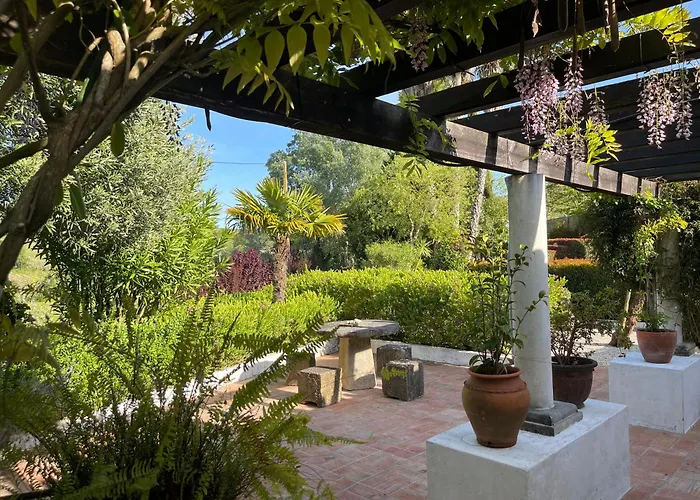 Vinhas Aldeia Galega da Merceana e Aldeia Gavinha